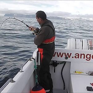 Island Bolungarvik 2013 angeln auf Dorsch 40 und 54 Pfund