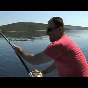 Bluefin tuna fishing in Croatia