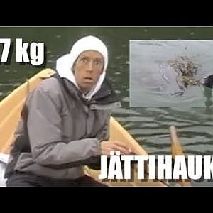 12.7kg hauki vie kalastajaa