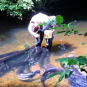 Stephanie Bowman feeding eels at Pukaha