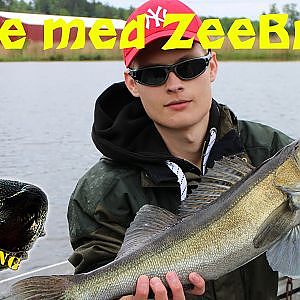 Gös på Jerkbait! Fiske med ZeeBrozz "trailer"