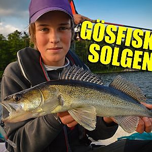 Gösfiske På Sommaren i Solgen | Team Galant