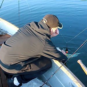 Gösfiske 2011, Drillning av gös på 3,500kg, Martin Wasberg