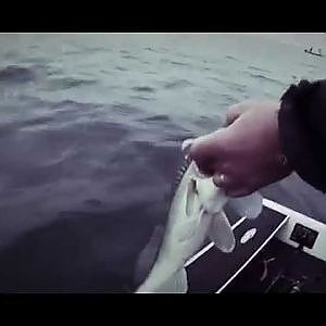 LE SANDRE - Sylvain LEGENDRE - Fishme - gopro HD3 black edition