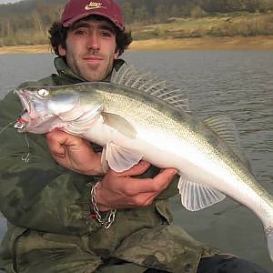 Vidéo Pêche du Sandre dans les Pyrénées et les Landes