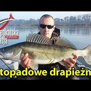 Listopadowe drapieżniki (film wędkarski) | duży sandacz !! szczupak | łowienie techniką opadu