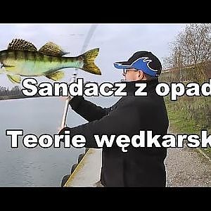 Teorie wędkarskie - Sandacz z opadu