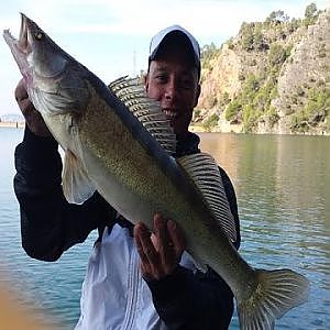 Pesca de LucioPerca Noviembre 2014 GoPro&Phone