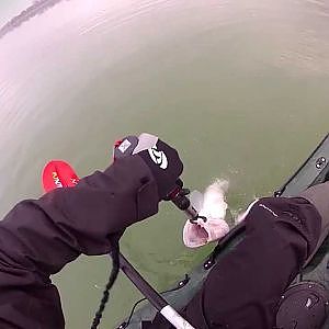 Balatoni süllő pergetés kajakból - Kayak fishing for Zander on lake Balaton