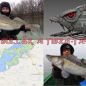 Predator TV V. Téli süllők a Tisza-tavon FullHD