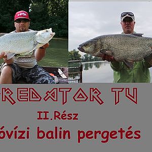 Predator TV II. Állóvízi balin pergetés