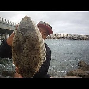 San Diego Jetty Fishing - Halibut