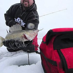 Mille Lacs Ice Fishing Video Perch & Walleyes Jan. 2012 - On Ice (#0018)