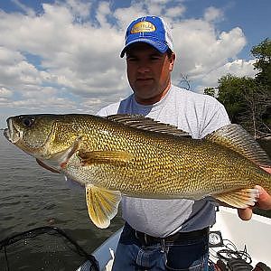 Walleye Slip Bobber Madness