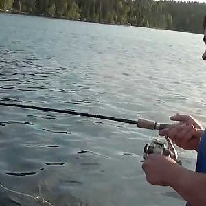 Monster Walleye At Mar Mac Lodge