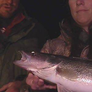 Fishing Tips. Catching Monster Walleye at Night