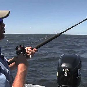 Fish Ed. Leadcore Trolling for Deep Walleye