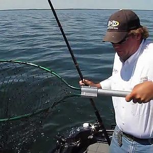 Catch Walleye Using Lead Core Line