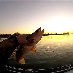 WALLEYE JIGGING! ONE AFTER ANOTHER! FISHING WALLEYE GOPRO HERO 2