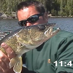 Stupid Trophy Walleye Fishing