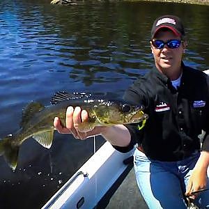 Shallow Water Walleye on Rainy Lake - In-Depth Outdoors TV - Season 6, Episode 9