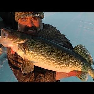 Monster Walleye - Caught on Video!