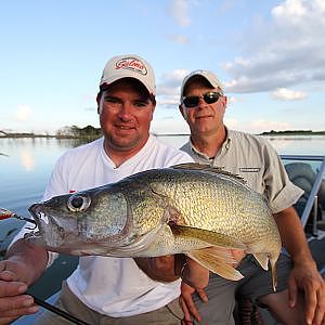 Walleye Fishing Crank baits in the Timber