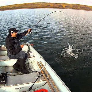 Successful Fall Walleye Jigging Tips