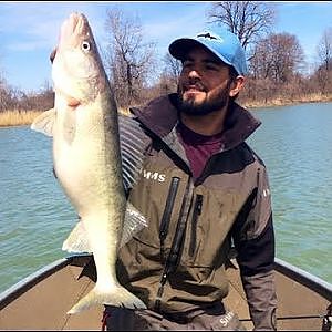 Walleye Fishing - Trophies