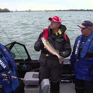 Walleye Jigging show, Detroit River, Michigan, USA