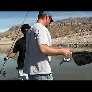 White Bass & Walleye Fishing on Caballo Lake NM