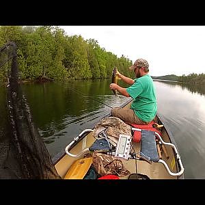 BWCA Walleye 2013