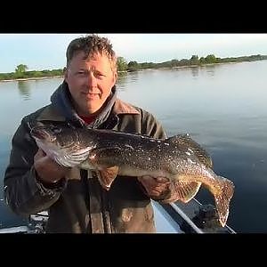 WALLEYE JIGGING! HOOK IT AND COOK IT! EARLY MORNING WALLEYE ACTION!