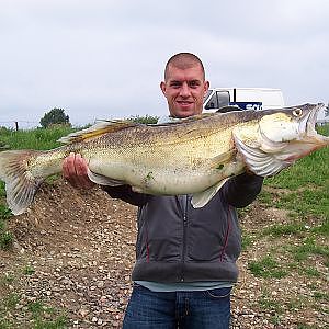 2 große Zander 80+ mit Köderfisch am System gefangen"Exitus-Fishing"