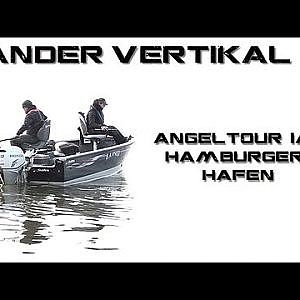 Vertikalangeln auf Zander - Die besten Tipps der Guides