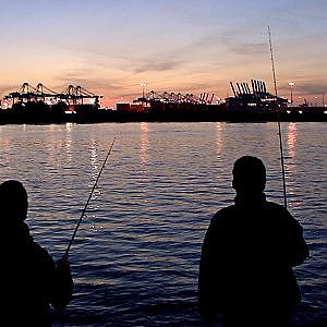 Angeln auf Zander - In der Elbe bei Hamburg