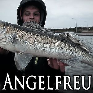 Zander Angeln / Walleyefishing / Zanderangeln / [Angeln]