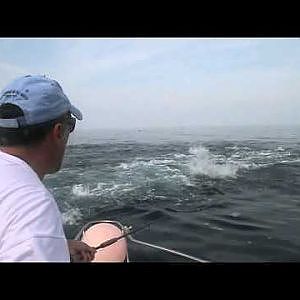 Fly Fishing Blue Water for Tuna Delta Fly Center.m4v