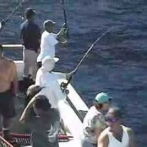 Yellowfin tuna fishing on the Excel in Mexico