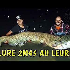 GROS SILURE 2M45 au leurre gopro en direct Mohamed Fishing