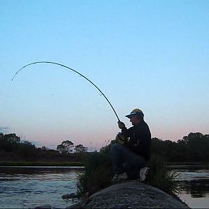 peche rapide du silure du bord le teil