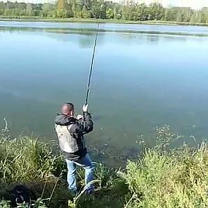 Pêche du silure en Loire au leurre