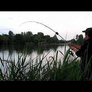 peche a la bouée silure saone