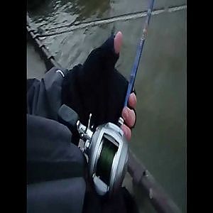 Pêche Silure Glane 1m85 in dans Paris ! [HD] Fight combat Street Fishing