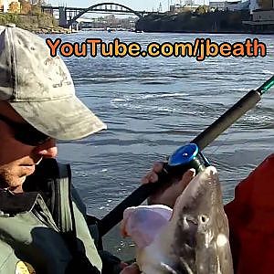 Willamette River Sturgeon Fishing