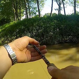 Cappuccino fishing  (Spinning al siluro)