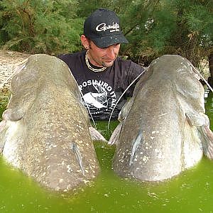 CATFISHING: COME SI PESCA IL SILURO CON I PELLETS by YURI GRISENDI