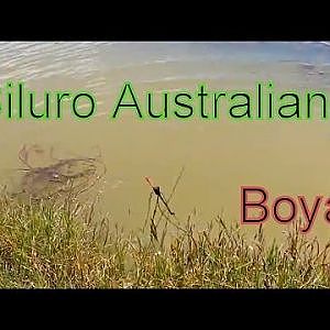 Siluro Australiano con Boya 2014 Pesca de Bagre con Boya | Pesca del Siluro 2014 HD