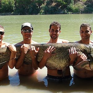 PESCA GUIADA DEL SILURO CON PELLETS