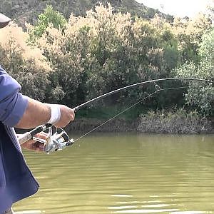 GUIA DE PESCA DEL SILURO A SPINNING LIGERO